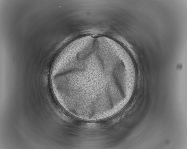 X0000097290153200803071739