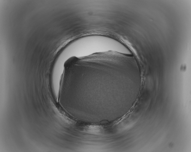 X0000097290154200803071739