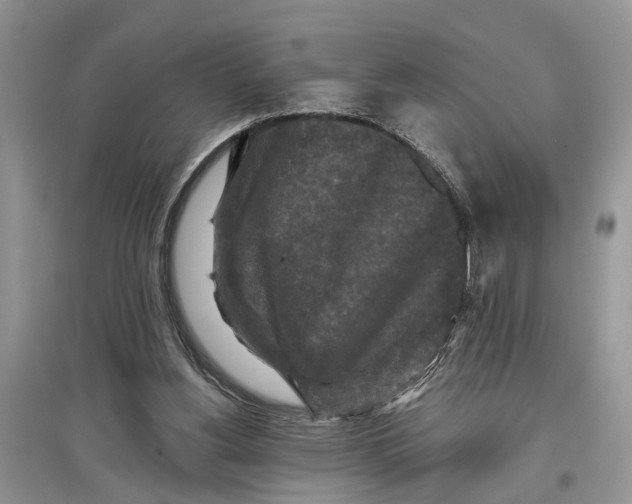 X0000097290156200803071739