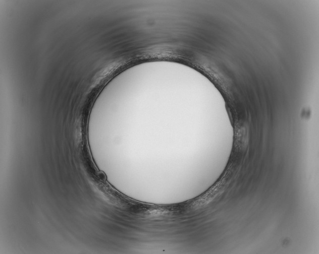 X0000097290158200803071739