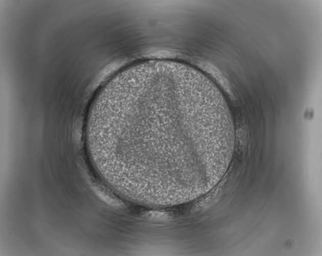 X0000097290159200803071739