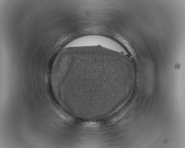 X0000097290161200803071739