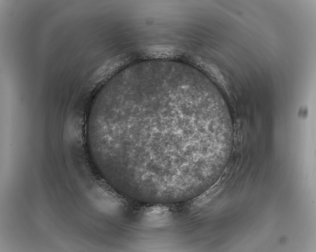 X0000097290162200803071739