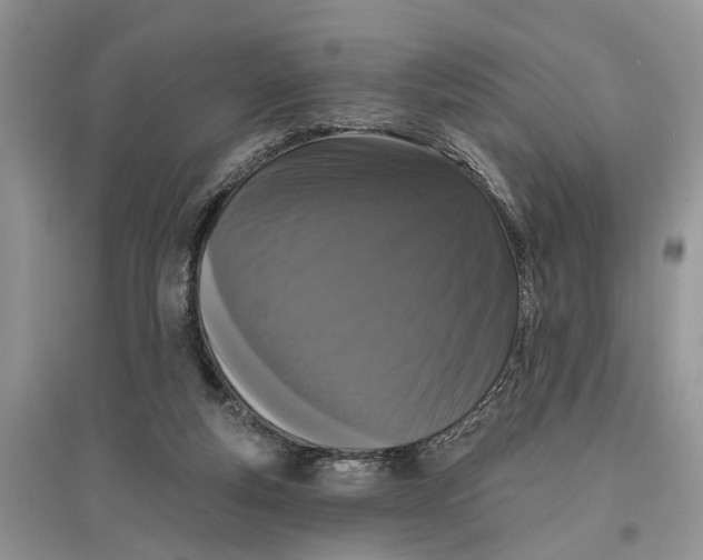 X0000097290163200803071739