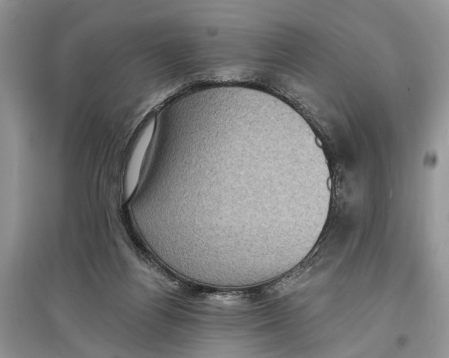 X0000097290164200803071739