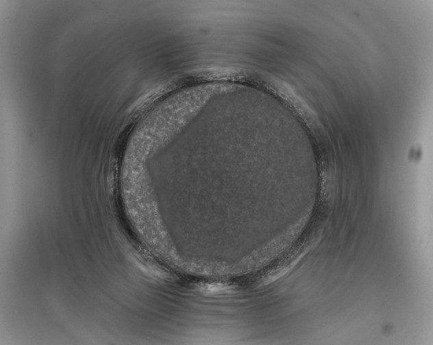 X0000097290165200803071739