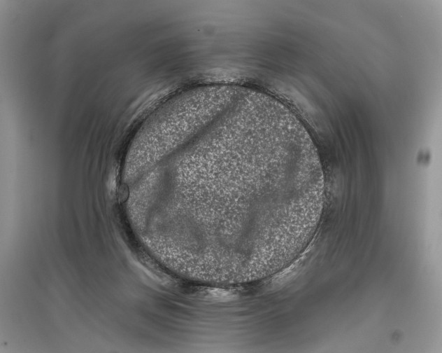 X0000097290166200803071739