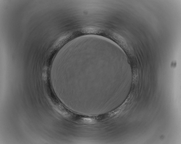 X0000097290167200803071739