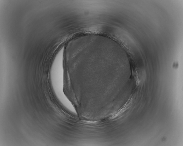 X0000097290168200803071739