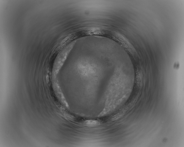 X0000097290169200803071739