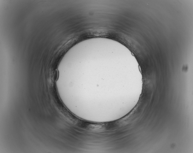 X0000097290170200803071739