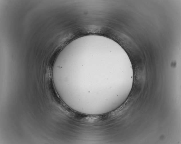 X0000097290172200803071739