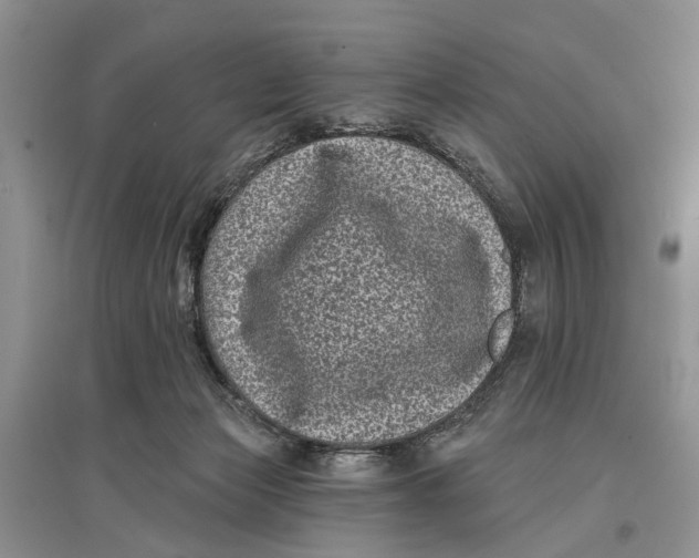 X0000097290173200803071739