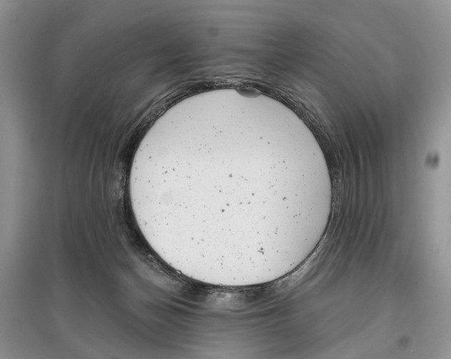 X0000097290174200803071739