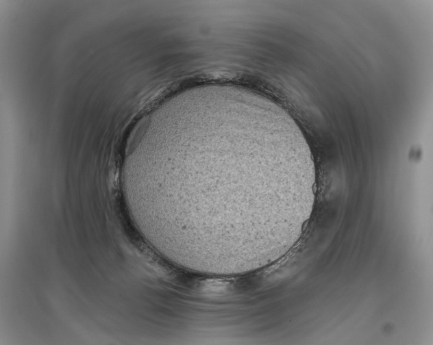 X0000097290176200803071739