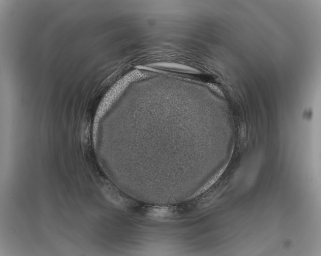 X0000097290177200803071739