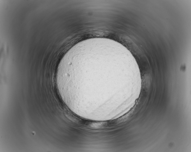 X0000097290178200803071739