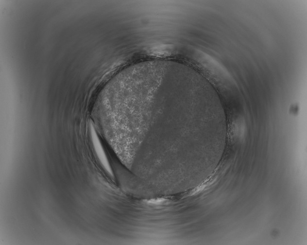 X0000097290180200803071739