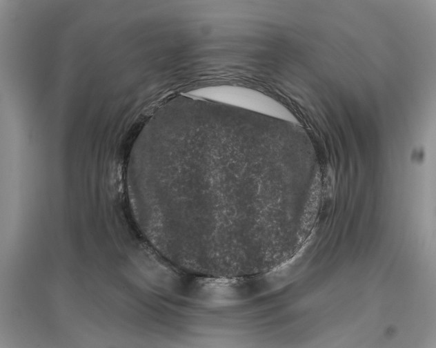 X0000097290182200803071739