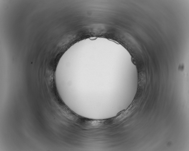 X0000097290184200803071739