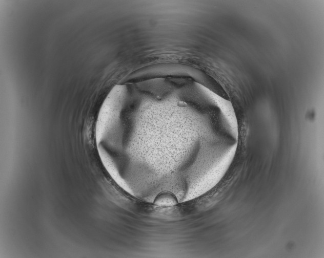 X0000097290185200803071739