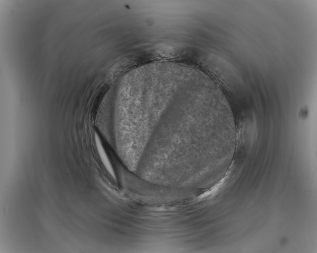 X0000097290186200803071739