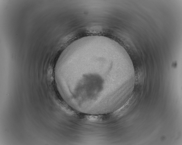 X0000097290187200803071739