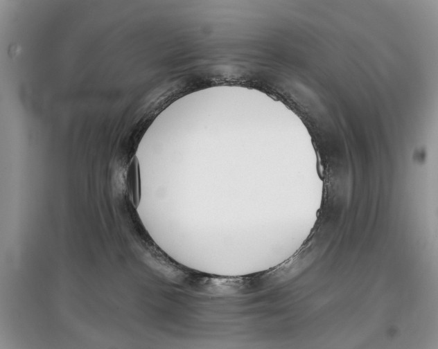 X0000097290188200803071739