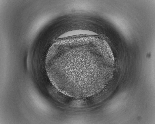 X0000097290189200803071739