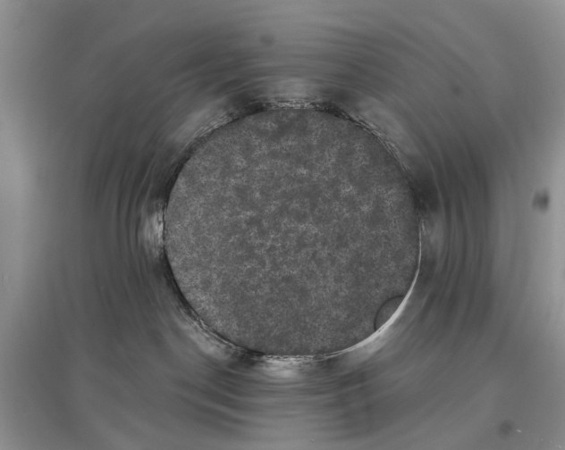 X0000097290190200803071739