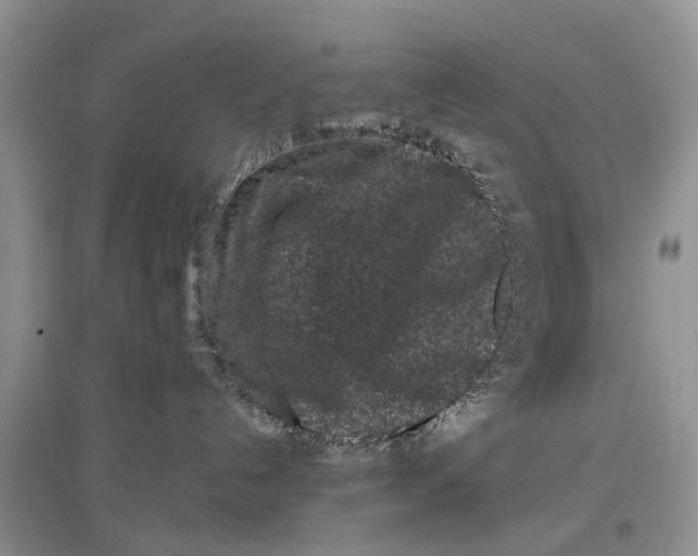 X0000097290192200803071739