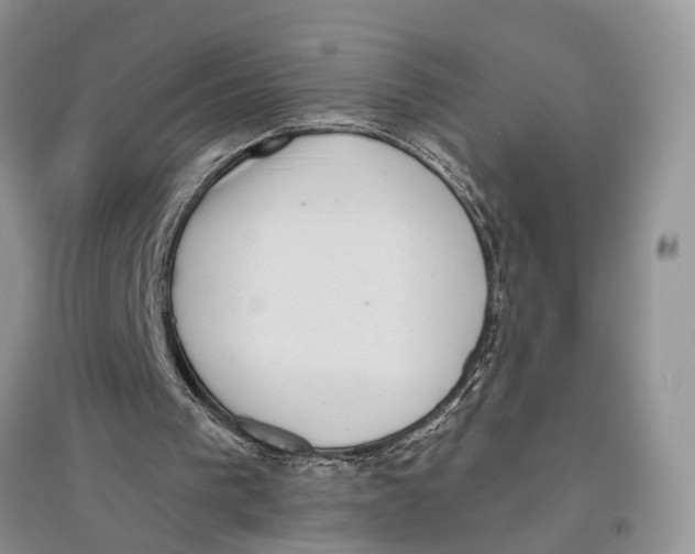 X0000097290193200803071739