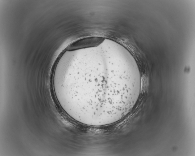 X0000097290195200803071739