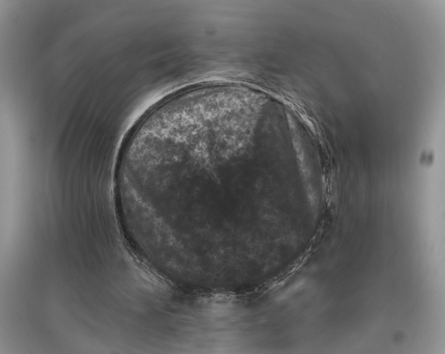 X0000097290196200803071739