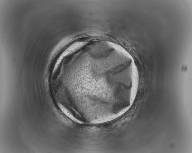 X0000097290197200803071739