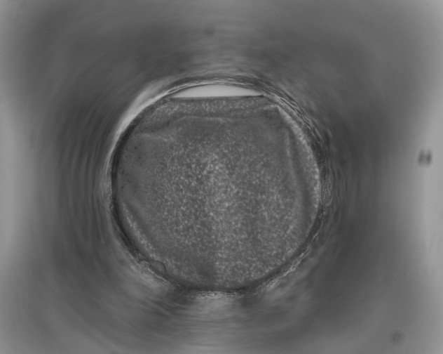 X0000097290198200803071739