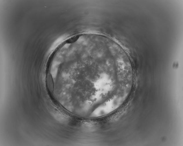 X0000097290199200803071739