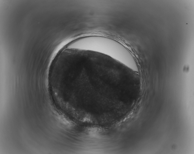 X0000097290200200803071738