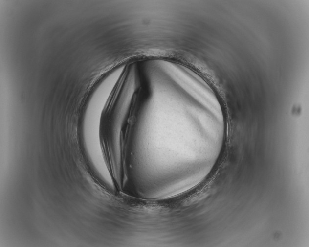 X0000097290201200803071738