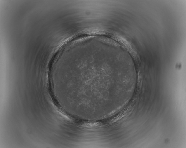 X0000097290202200803071738