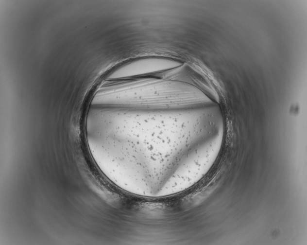 X0000097290203200803071738