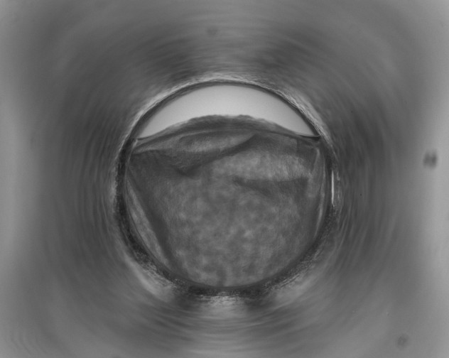 X0000097290204200803071738