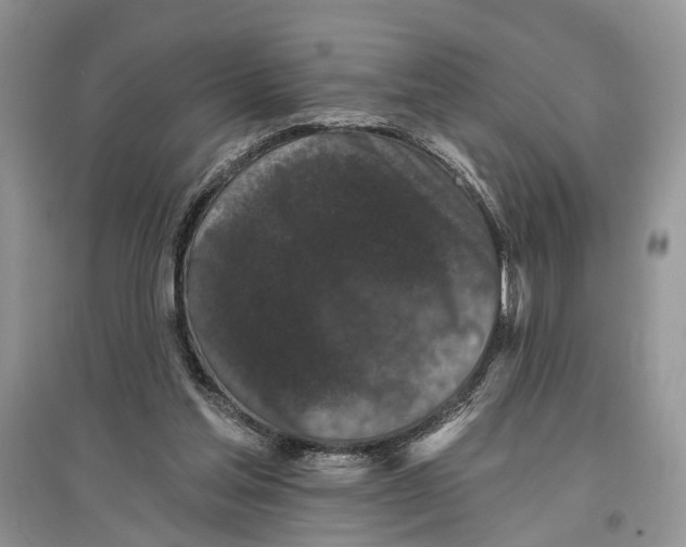 X0000097290205200803071738