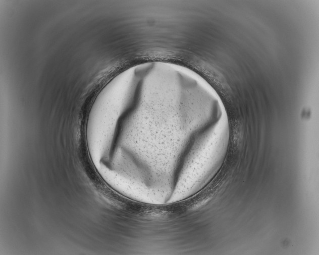 X0000097290206200803071738