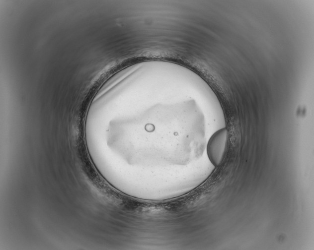 X0000097290208200803071738