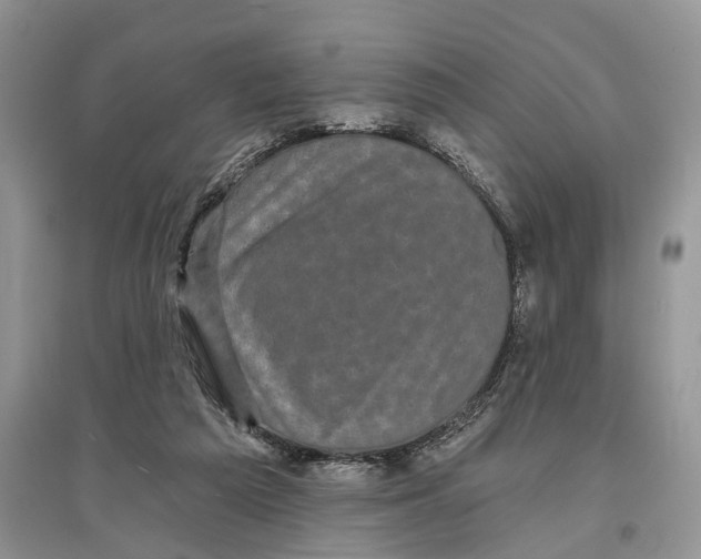 X0000097290209200803071738