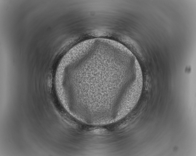 X0000097290210200803071738