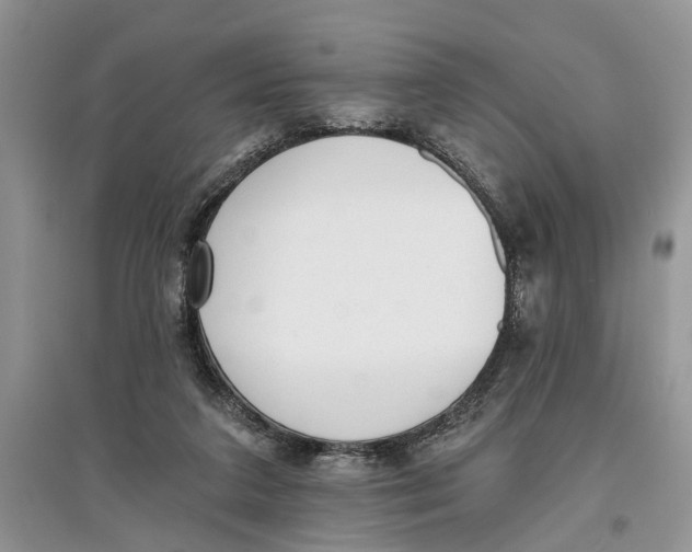 X0000097290211200803071738