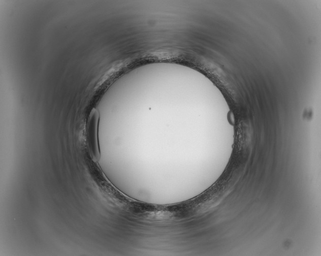 X0000097290212200803071738