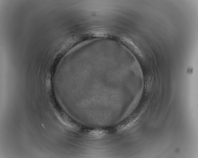 X0000097290213200803071738